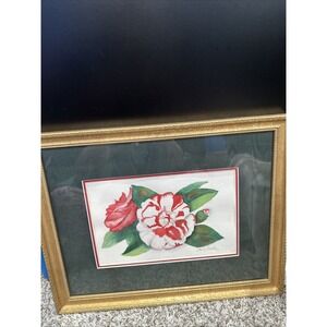 Mary Smith Flower Print Professionally Framed‎